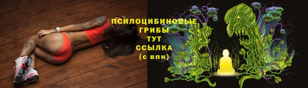 ПСИЛОЦИБИНОВЫЕ ГРИБЫ Волоколамск