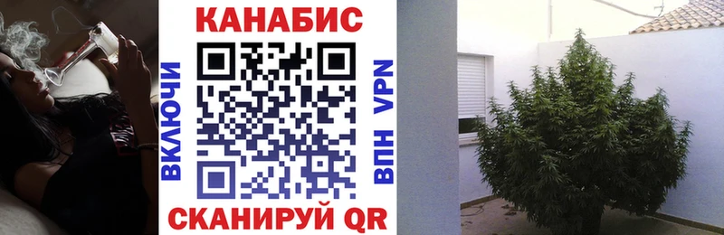 Канабис MAZAR KRAKEN Березники купить наркотик